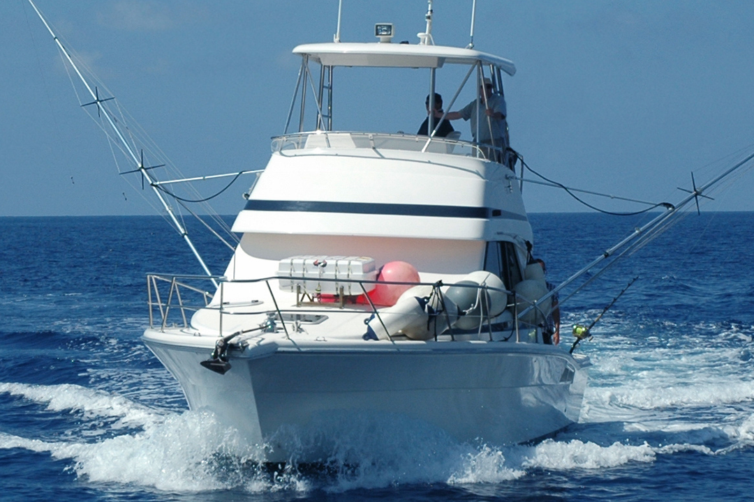 Image-1